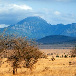 Savannah landscape in the National park of Kenya